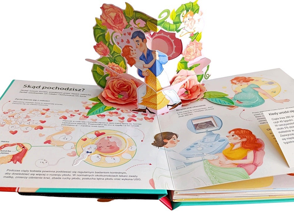 EDUCATIONAL BOOK SPATIAL MOVING ELEMENTS AND WINDOWS BODY 3D Packaging status original