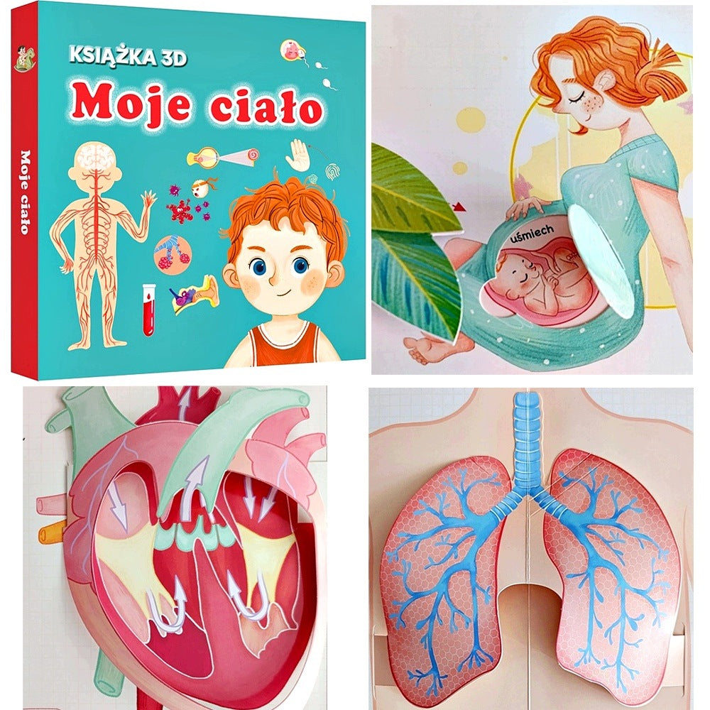 EDUCATIONAL BOOK SPATIAL MOVING ELEMENTS AND WINDOWS BODY 3D