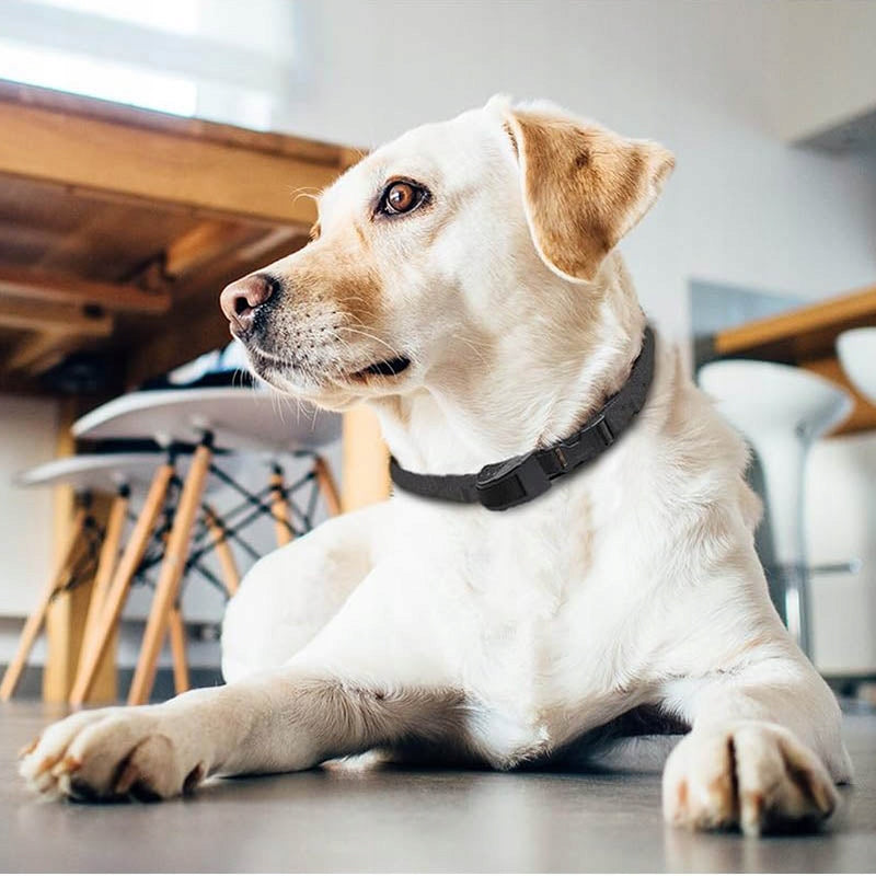 ELECTRIC ANTI-BARK COLLAR - ELECTRIC DOG COLLAR (TRAINING) Manufacturer code 718A