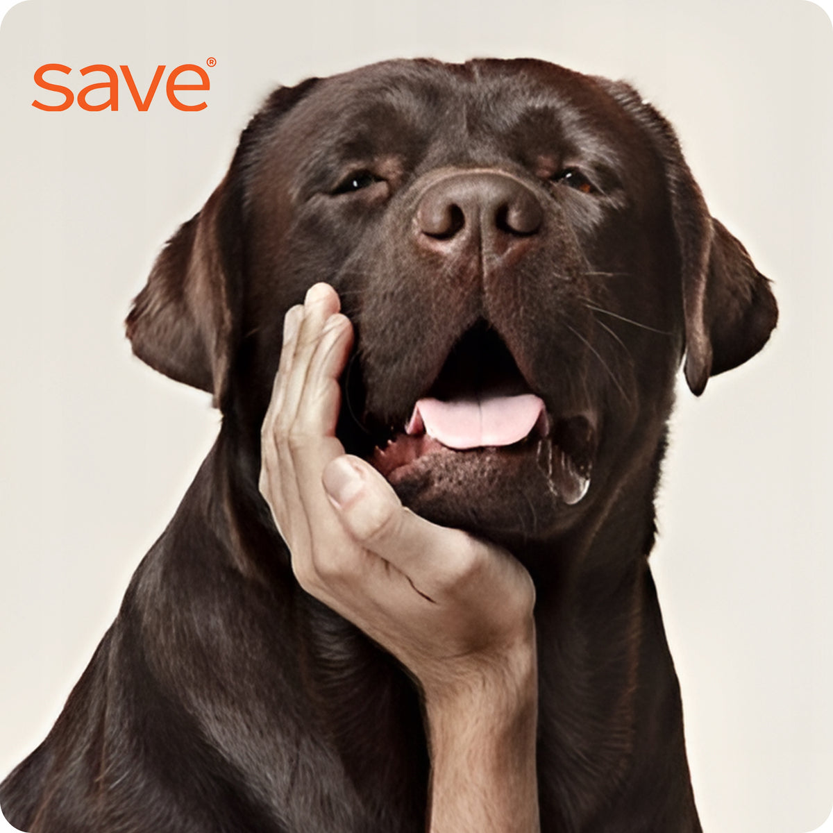ELECTRIC DOG COLLAR ANTI-BARK SILENCING EFFECTIVE AUTOMATIC Brand Save