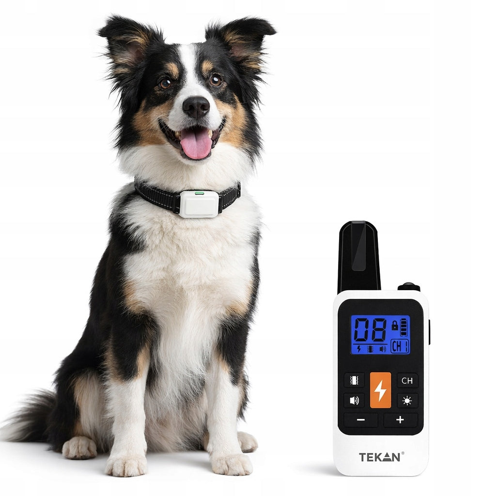 ELECTRIC DOG COLLAR FOR TWO DOGS TRAINING FOR TRAINING PILOT Packaging status original