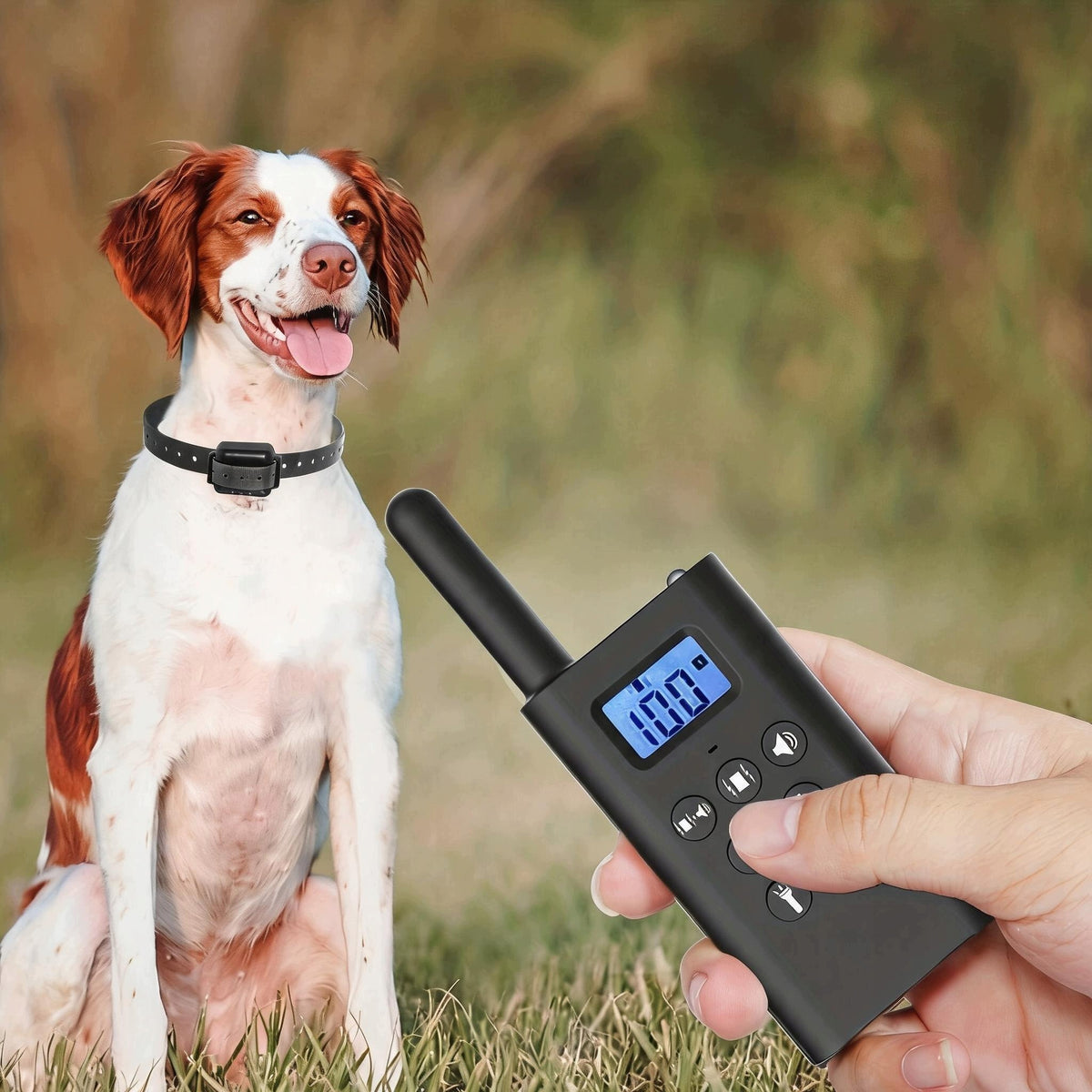 ELECTRIC DOG COLLAR TRAINING ANTI-BARK SHEPHERD TRAINING PILOT Manufacturer code ctgdcjhcvk