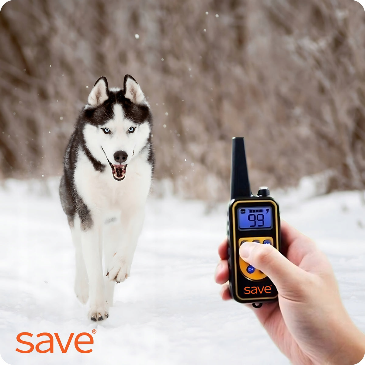 ELECTRIC DOG COLLAR TRAINING WATERPROOF 800M REMOTE CONTROL DOG TRAINER Manufacturer code ELEKTRYCZNA OBROŻA ELEKTRYCZNA OBROŻA