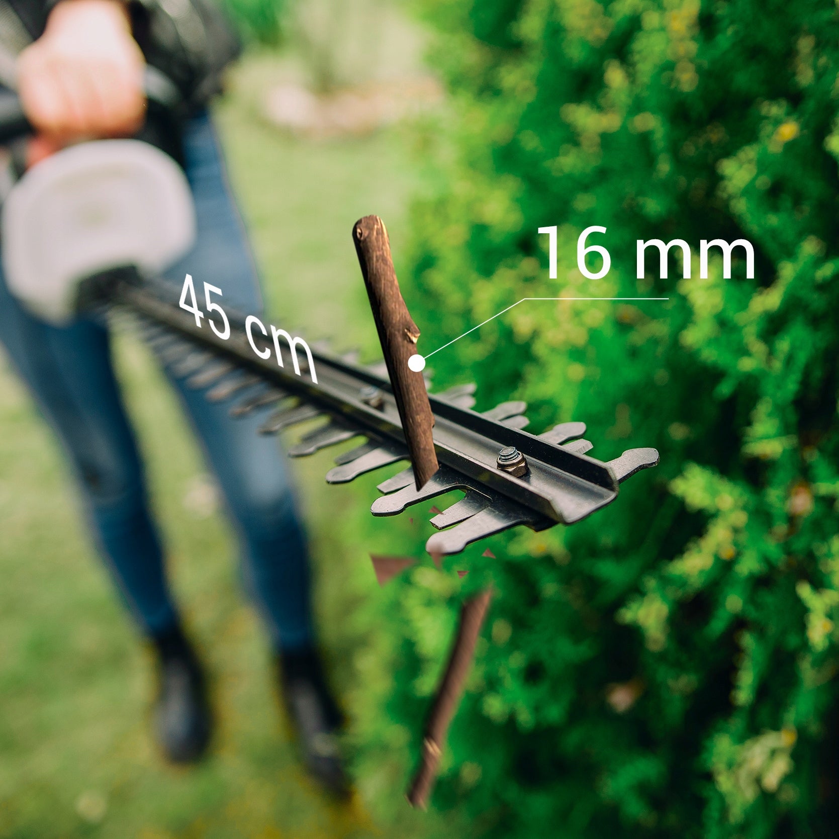 ELECTRIC HEDGE SHEARS FOR BRANCH BUSHES PRUNING SHEAR LEHMANN 1500W 50cm Power supply electric from mains