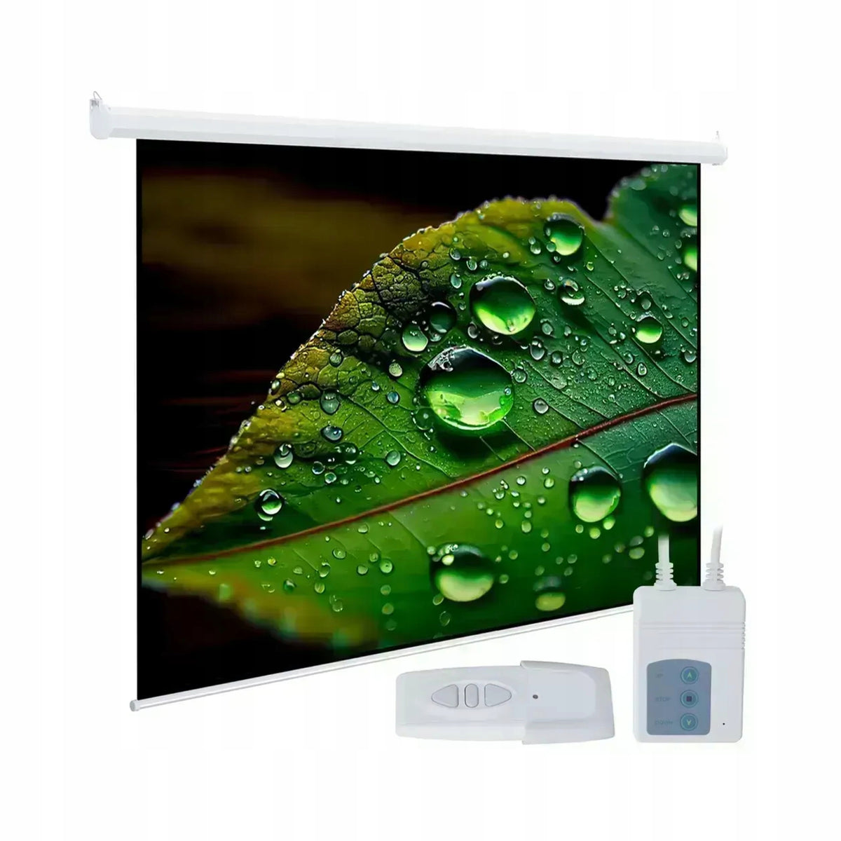 ELECTRIC PROJECTION SCREEN CEILING/WALL 84'' 4:3 127x170 + PILOT
