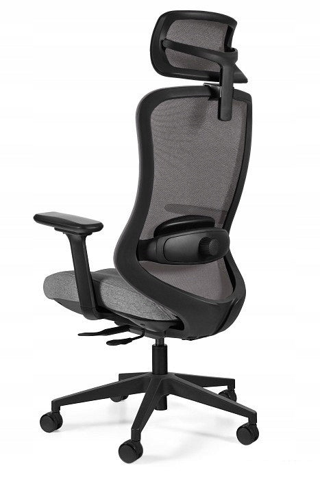 ERGONOMIC OFFICE CHAIR ADAPTA GREY A LOT OF ADJUSTMENT MEETS THE REQUIREMENTS OF HEALTH AND SAFETY EAN (GTIN) 5908242431406