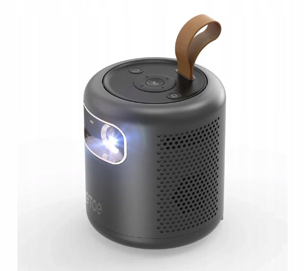 ETOE Dolphin LED DLP Full HD Wi-Fi Bluetooth Chromecast Google TV Projector Model Dolphin