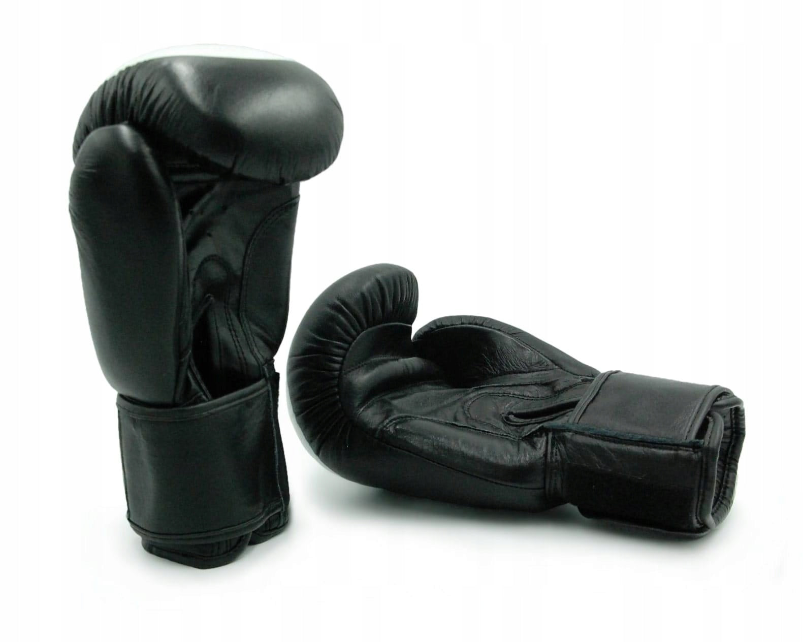 EVOLUTION PRO 12 OZ BOXING GLOVES Brand Evolution