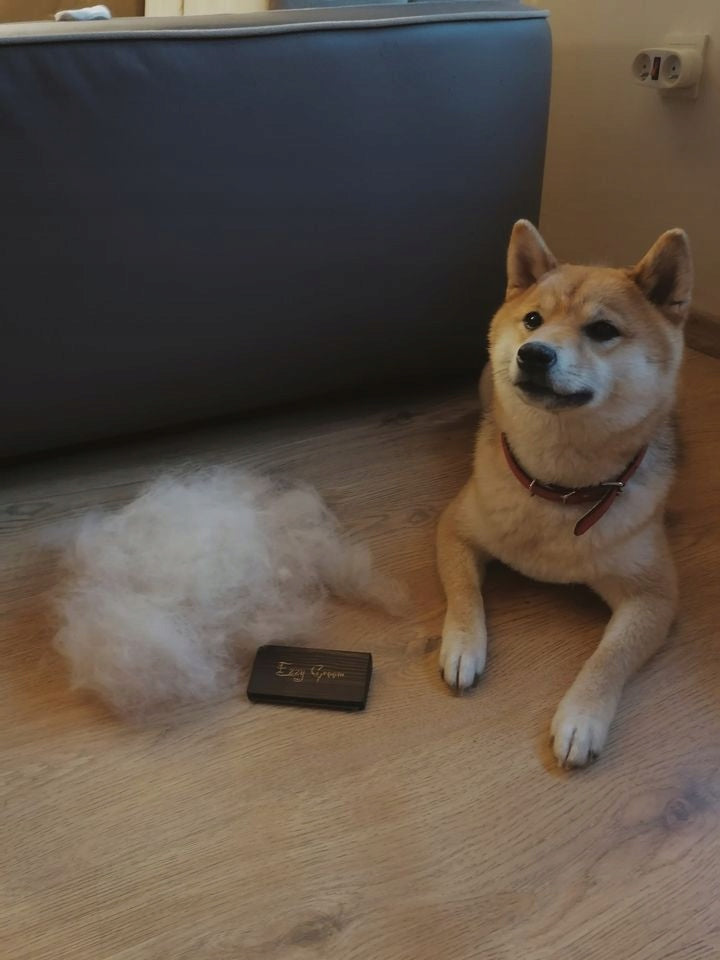 EZZYGROOM for dog and cat WITH SOFT OR HARD COAT Manufacturer code 5905317662611