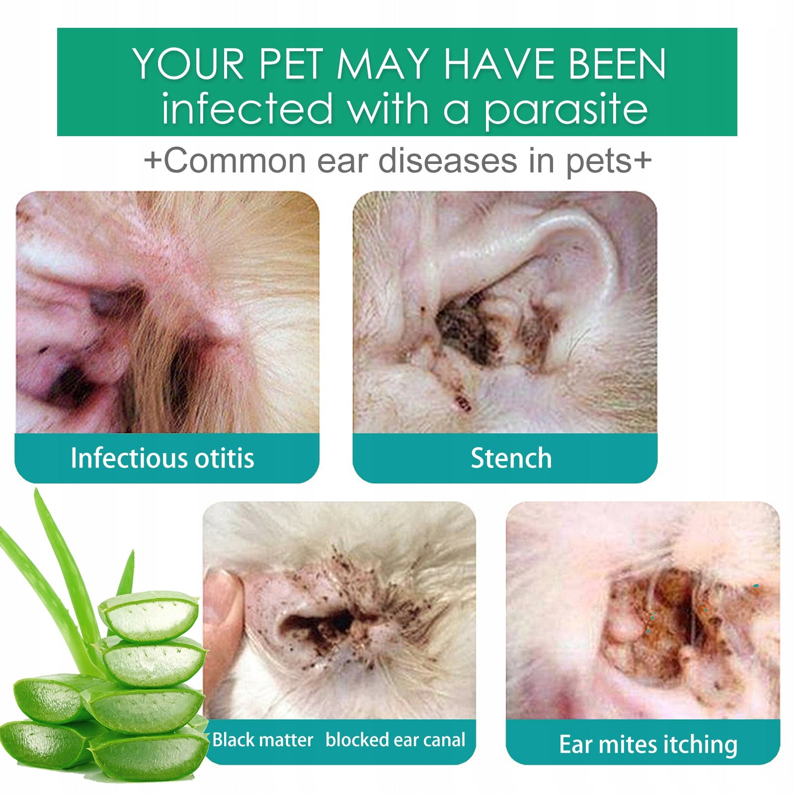 Ear Drops for Animals Eliminating Scabies and Hearing Canals 20 ml Manufacturer code BE-58801-BL