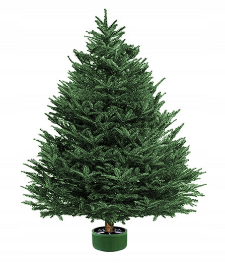 Eco Christmas tree stand, 5l pot under the Christmas tree Brand Jestic