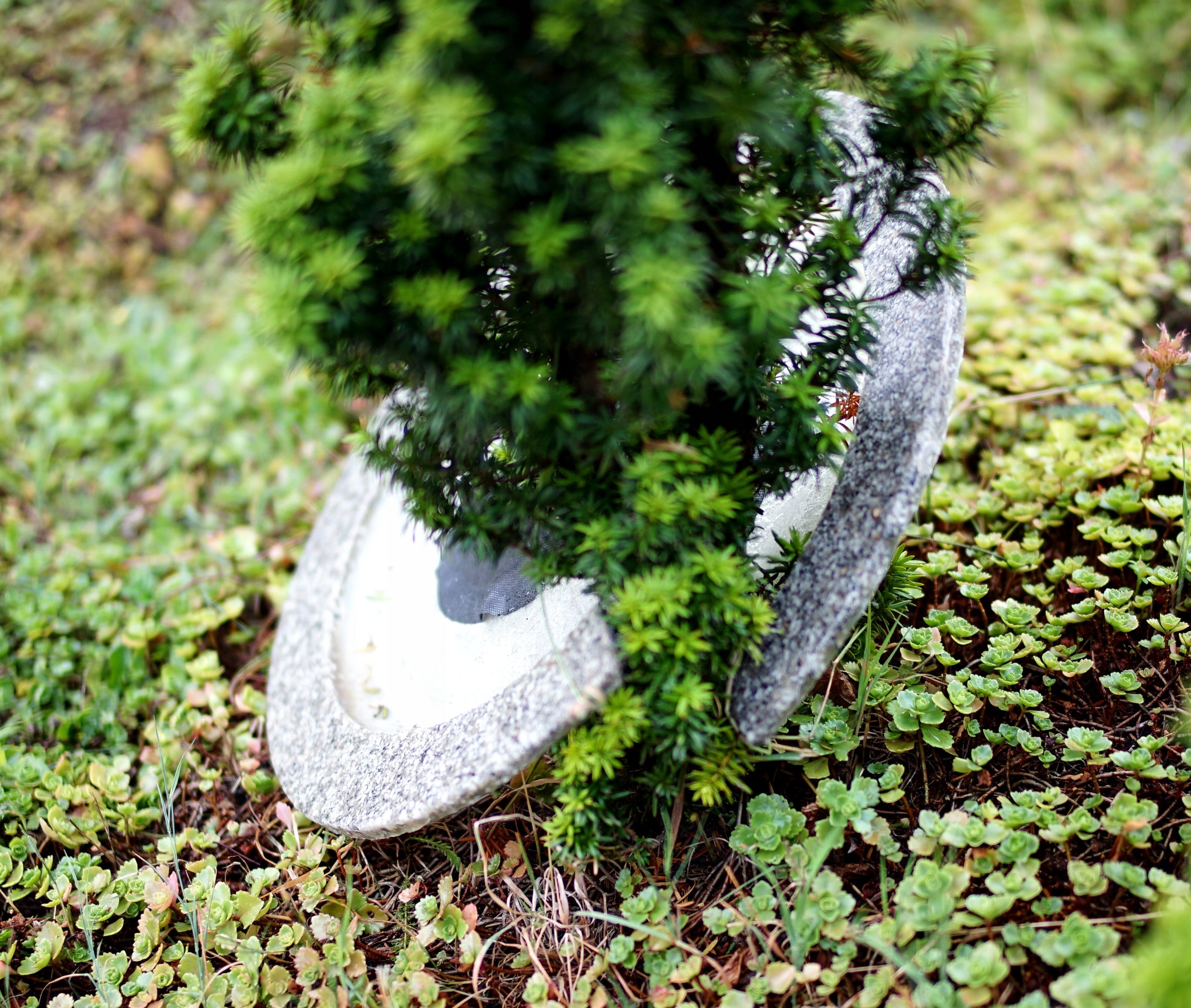 Edges for trees and shrubs innoVal, grey granite with a diameter of 50cm. Material plastic