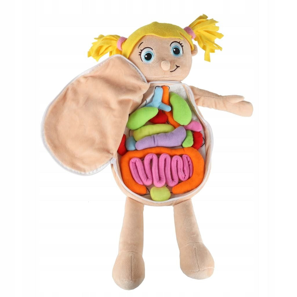 Educational Anatomical Doll Toy - Human Body Science for Children Manufacturer code 5908141809535