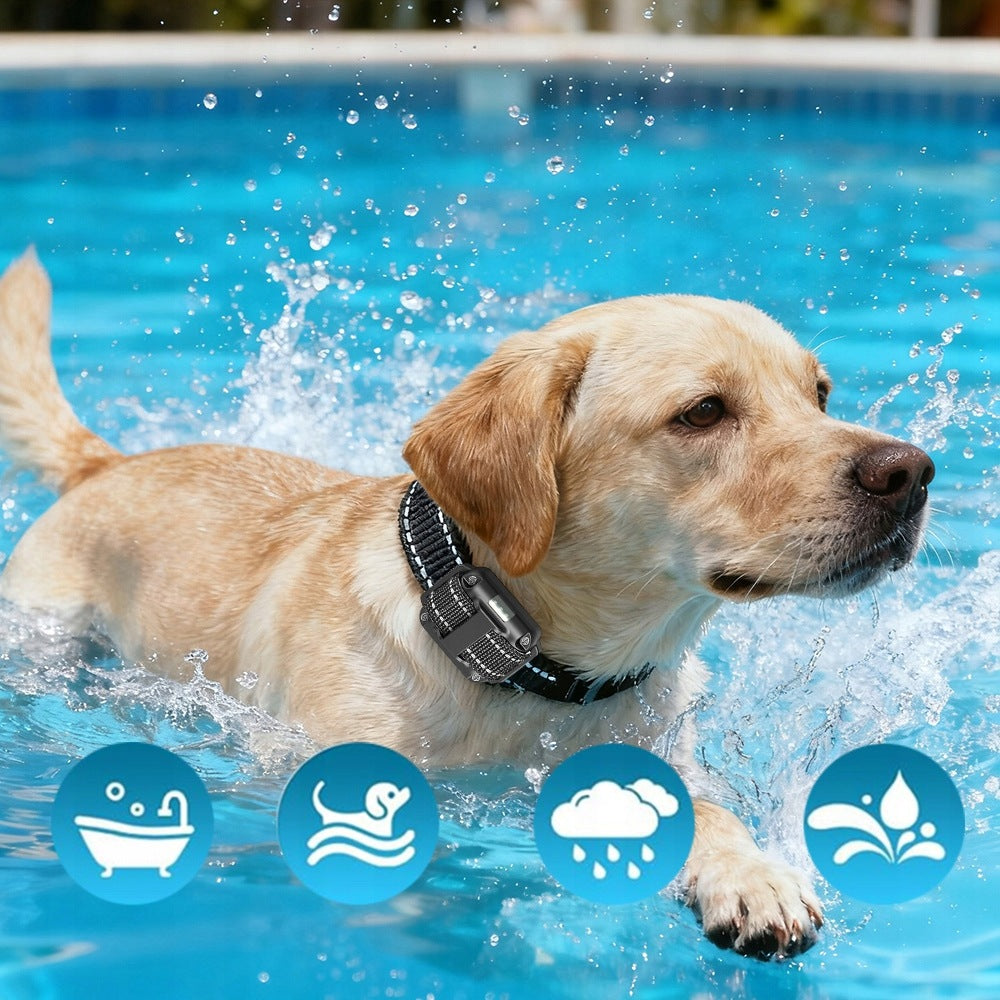 Electric Anti Bark Training Collar For Small And Large Dogs With Remote Control Manufacturer code Obroża szkoleniowa dla psa