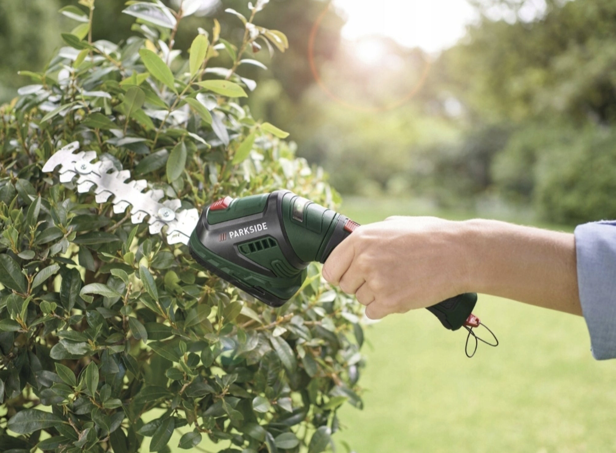 Electric Shears CORDLESS FOR GRASS BUSHES 2in1 12 cm 4 V PARKSIDE B3 Power supply battery operated