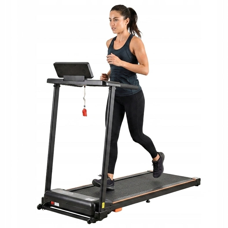 Electric Treadmill Home Folding Household 110kg 12km/h gift