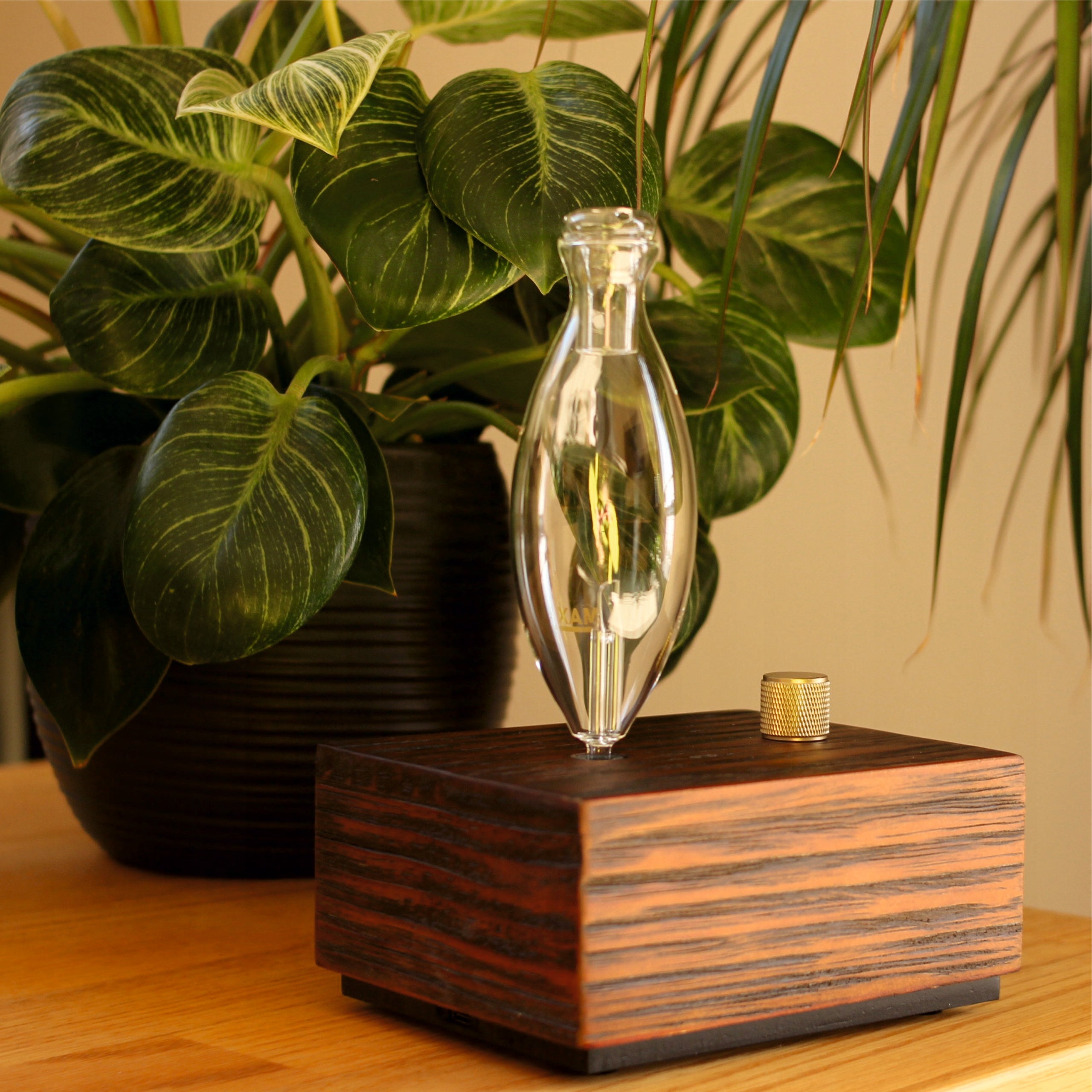 Essential Oil Nebulizer Diffuser Anhydrous Glass Portable Aromatherapy Packaging status original