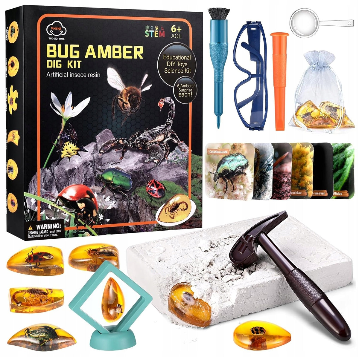 Excavations Insect Fossils Amber Set Small Archaeologist Glasses Packaging status original