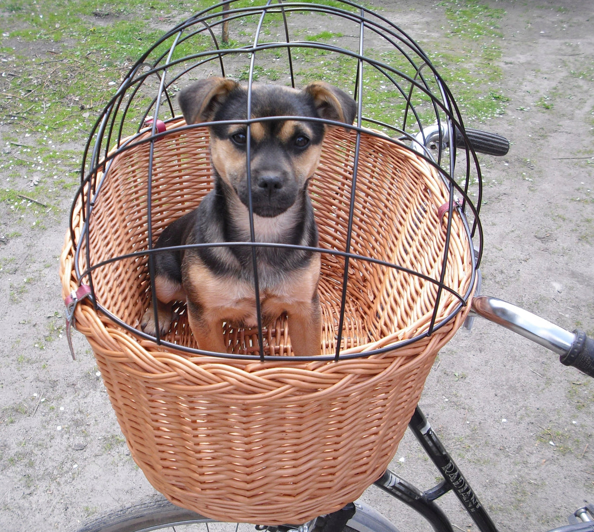 Extra Large Wicker Basket NATURAL Bike Basket for PSA up to 15kg Manufacturer code TR 02