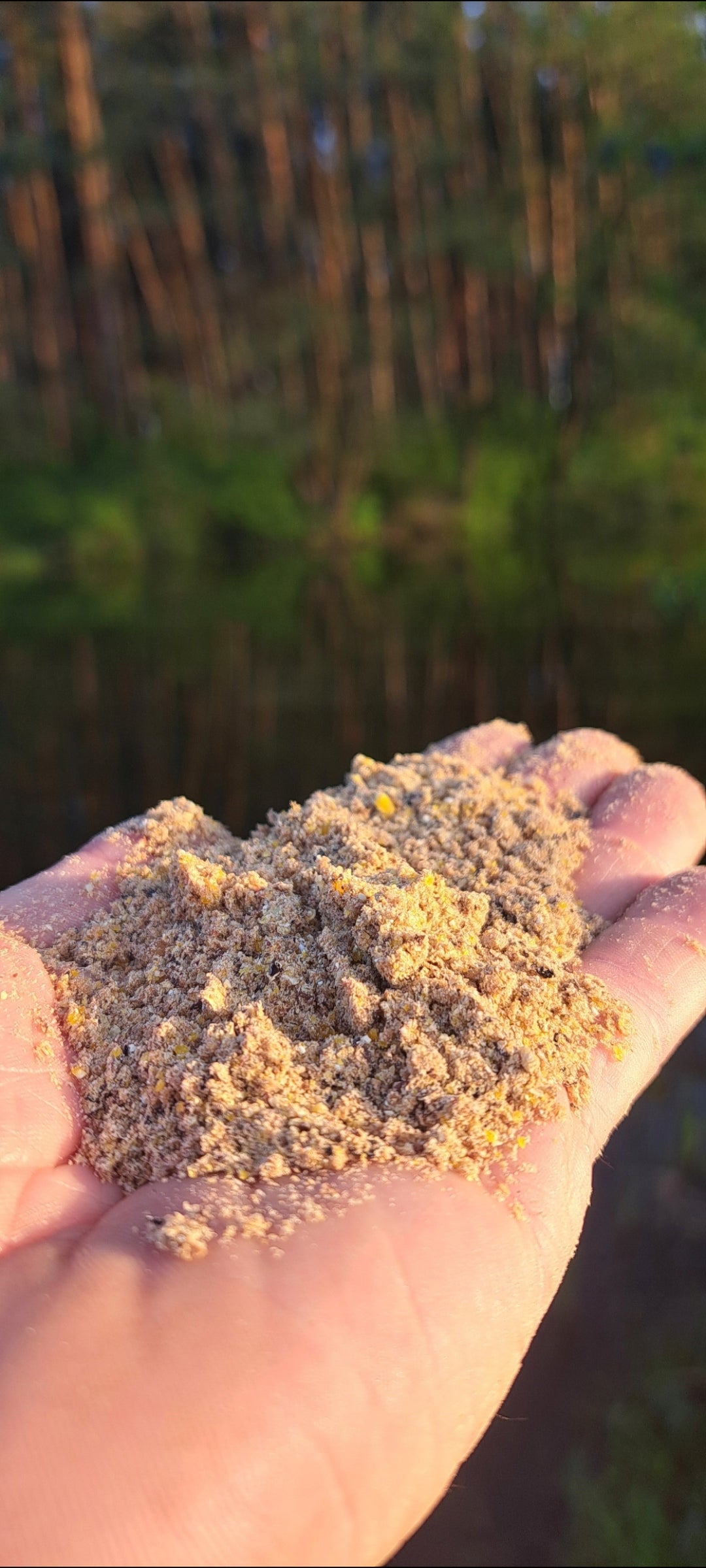 FISHING BAIT UNIVERSAL FEEDER GINGERBREAD CHOCOLATE CARP BREAM Manufacturer code 75