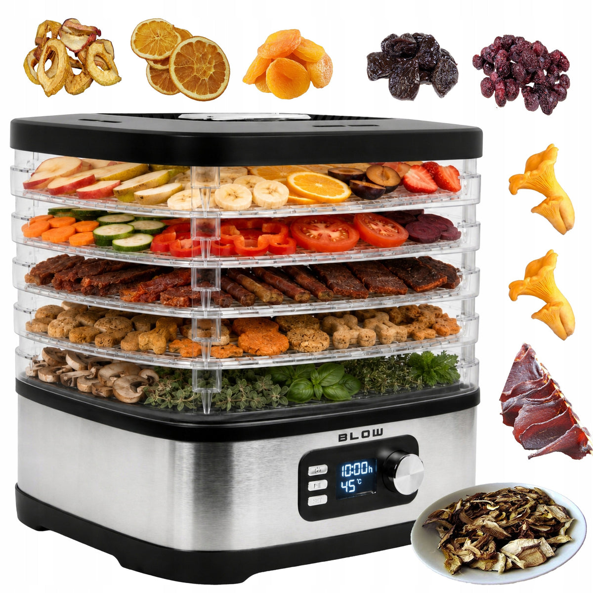 FOOD DRYER FOR MUSHROOM FRUIT HERBS MEAT VEGETABLE FOOD 5 SIT 450W