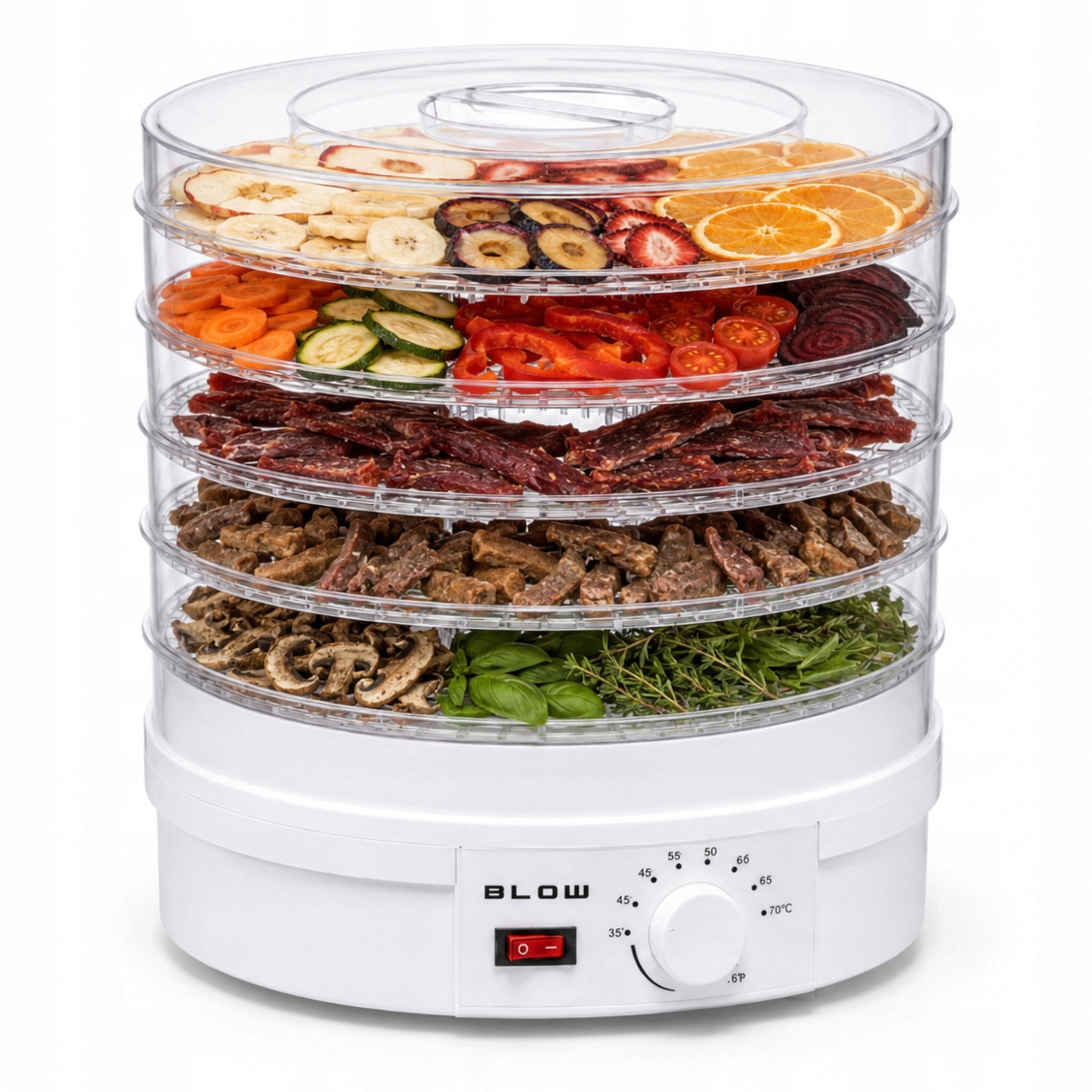 FOOD DRYER FOR MUSHROOMS FRUIT VEGETABLES MEAT HERBS 6 SIEVES 500W THERMOCOUPLE