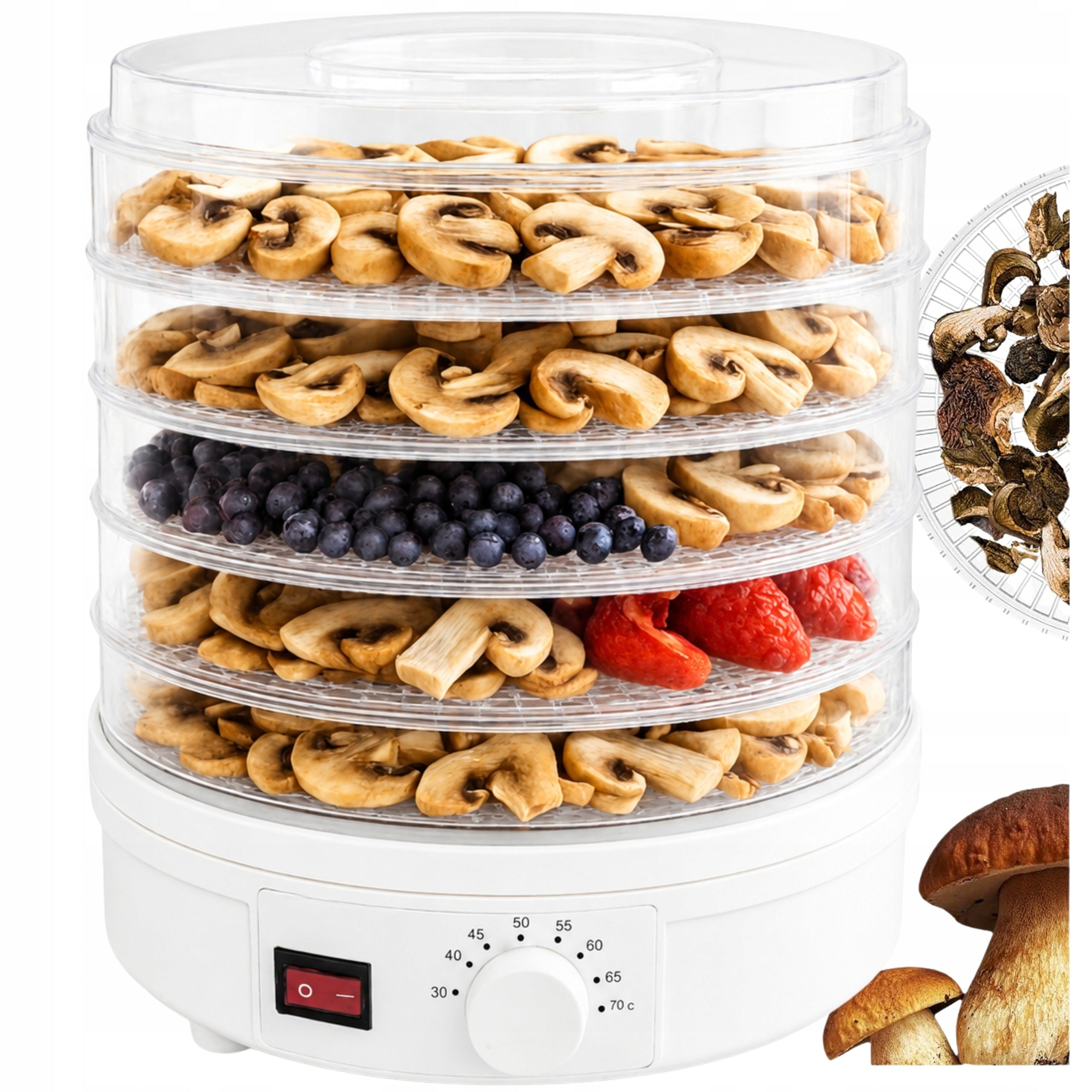 FOOD DRYER FOR VEGETABLE FRUIT MUSHROOMS ADJUSTABLE 5 LEVELS 500W LARGE