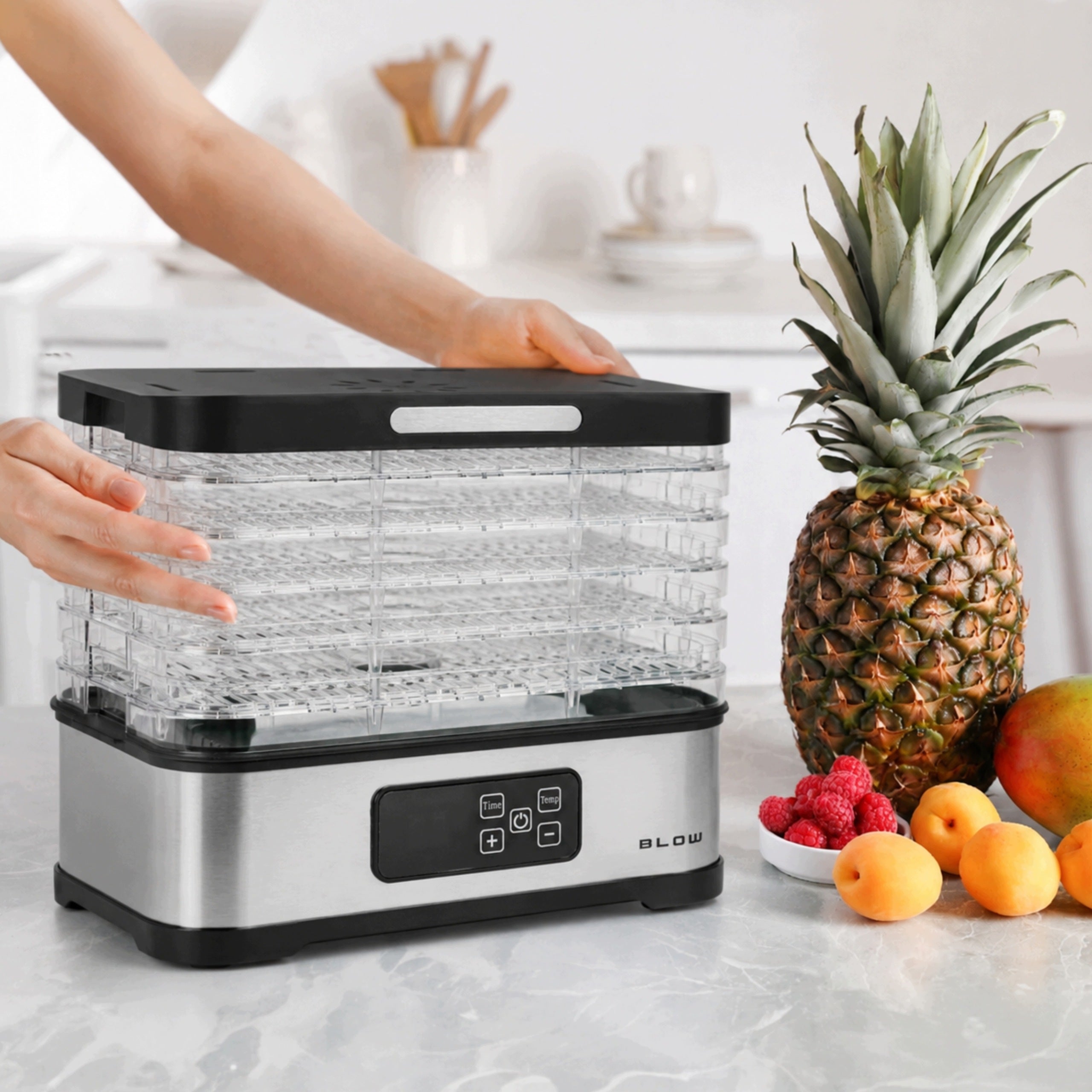 FOOD DRYER MUSHROOMS FRUIT VEGETABLES HERBS FISH MEAT LCD THERMOCOUPLE 400W Packaging status original
