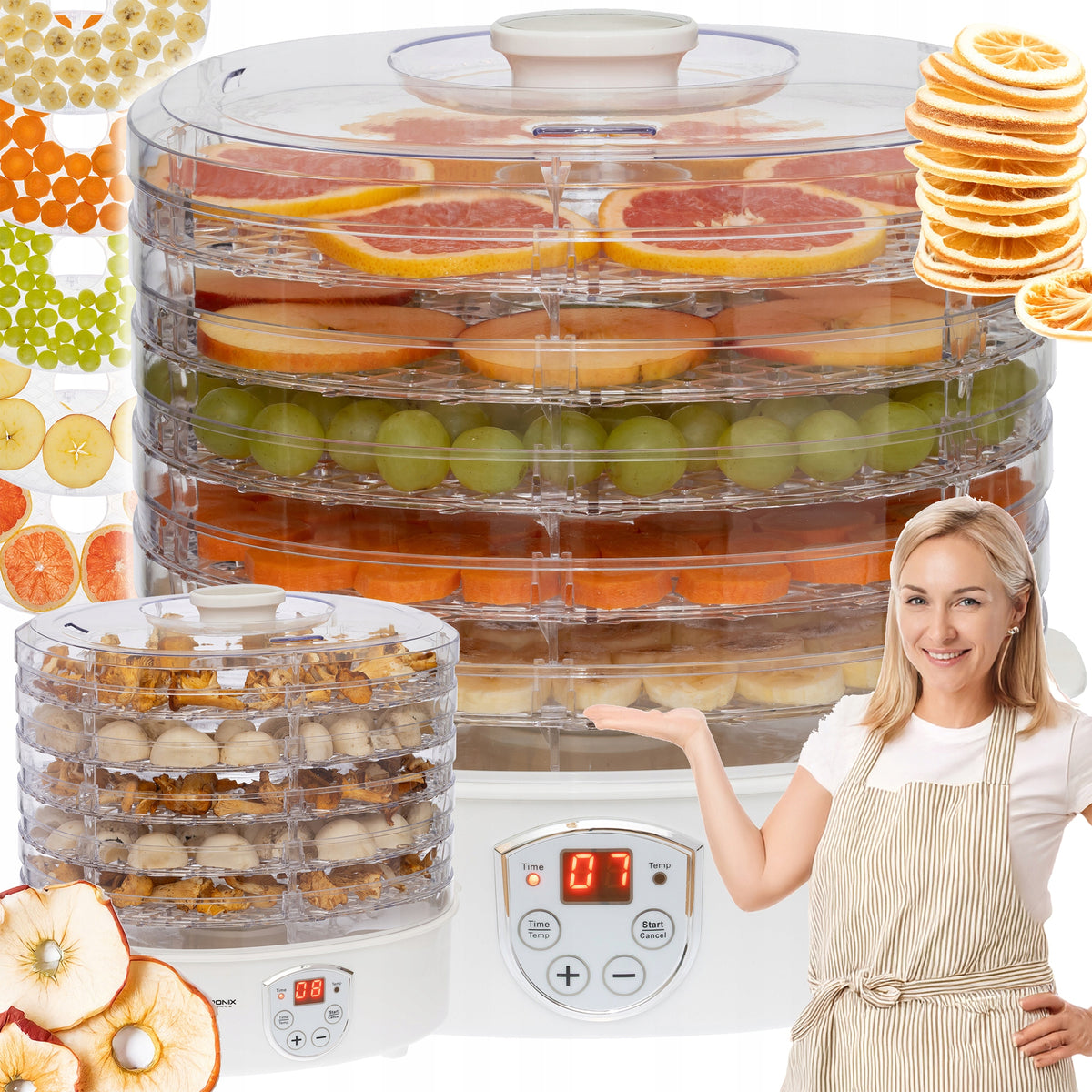 FOOD DRYER WITH TEMPERATURE CONTROL MUSHROOM FOOD DRYER TIMER! Packaging status original