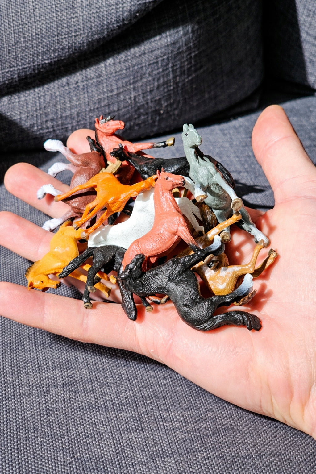 Figurines HORSES set of 12 figurines animals figurines horse different breeds collection Brand JHC e-commerce
