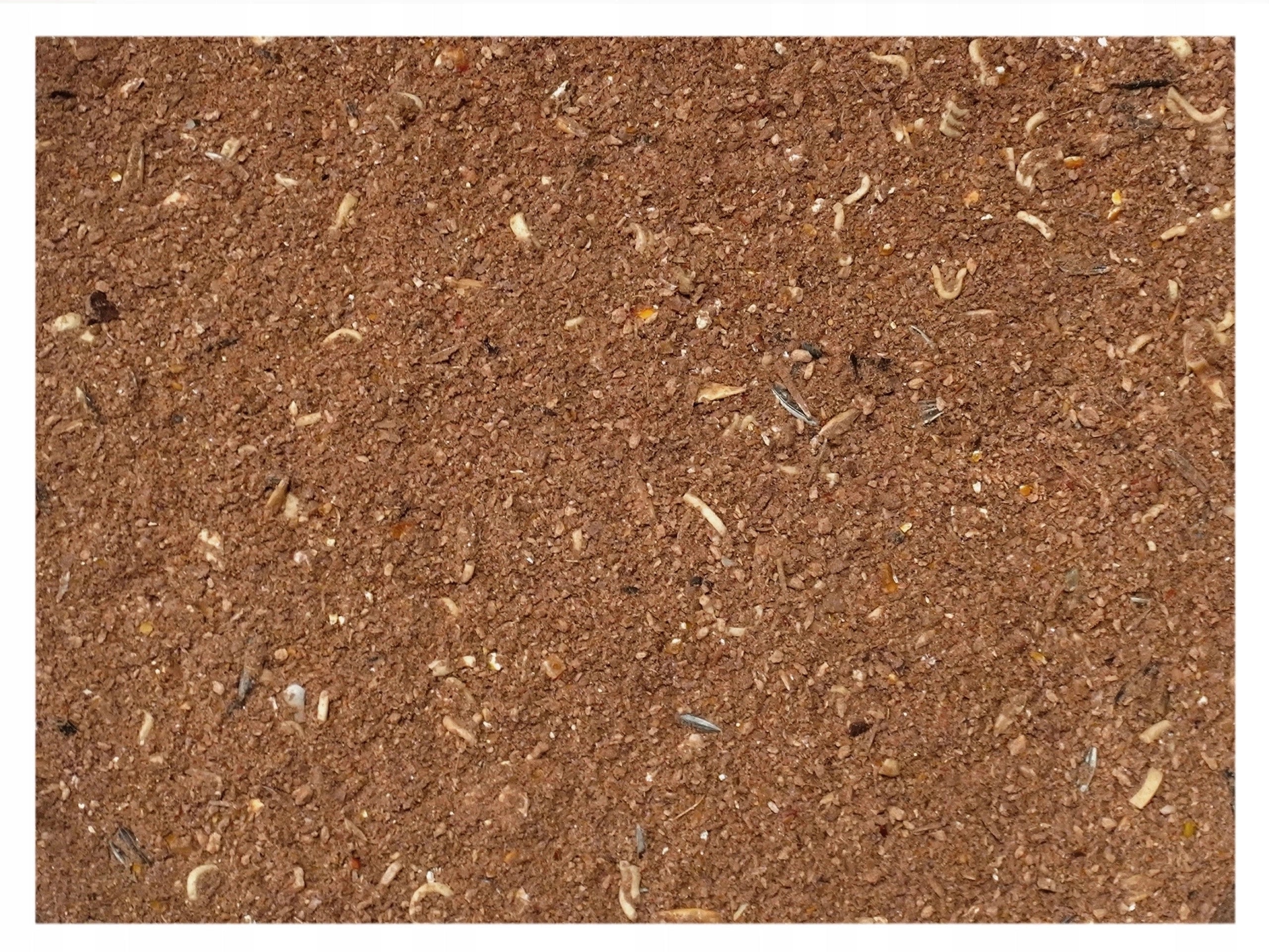 Fishing bait GINGERBREAD CHOCOLATE universal bottom carp bream 4,5kg nr.8