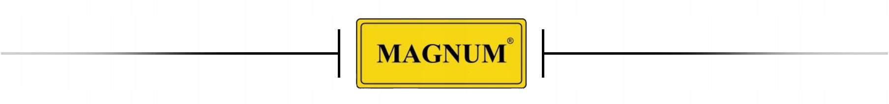 Flexible torch MIG/MAG welding torch MB15 pipe FLEX Brand Magnum