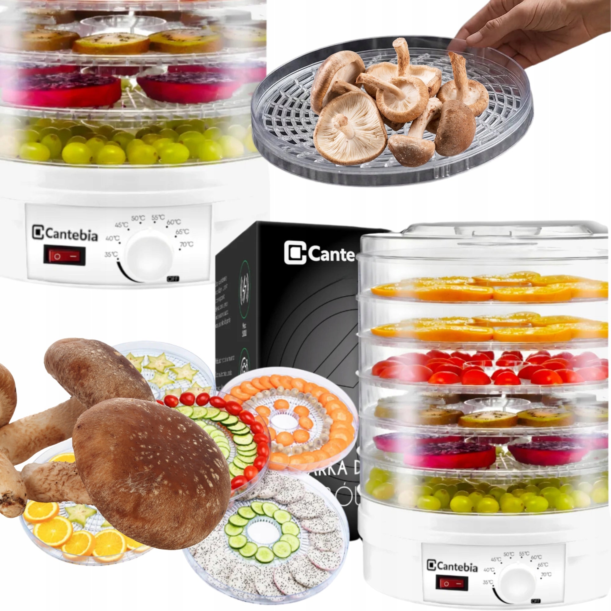 Food Dryer FOR MUSHROOMS FRUIT HERBS VEGETABLES temperature control
