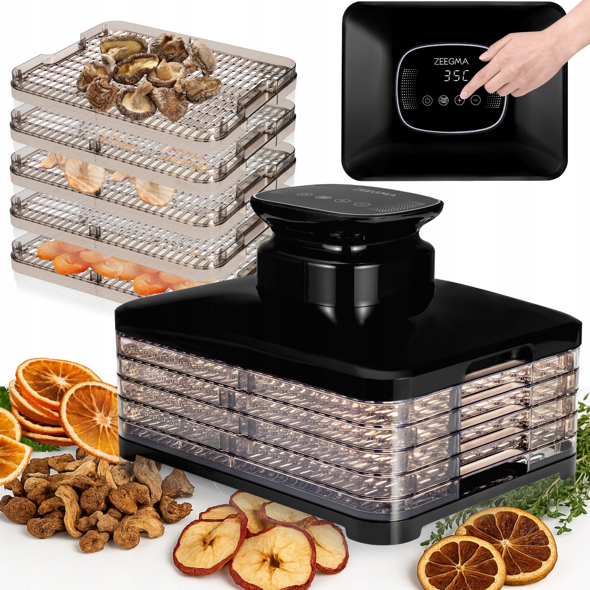 Food Dryer LARGE Food Fruit Mushroom Dryer 5sit TIMER 400W