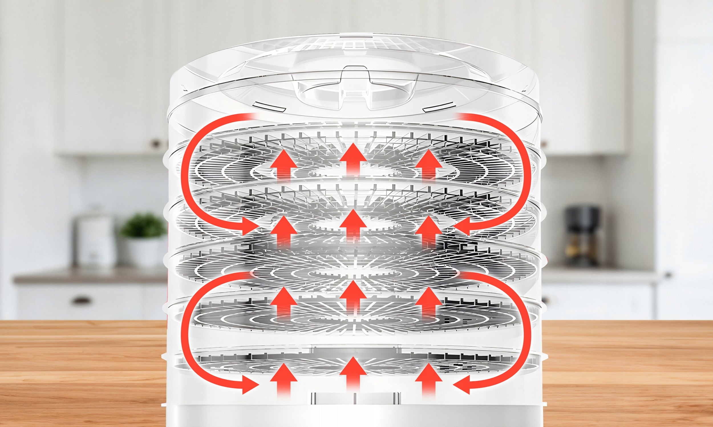 Food dryer Electo 500 W, 6 sieves, 35-70°C adjustable, white Manufacturer code SUSZARKA SPOŻYWCZA NA GRZYBY OWOCE WARZYWA