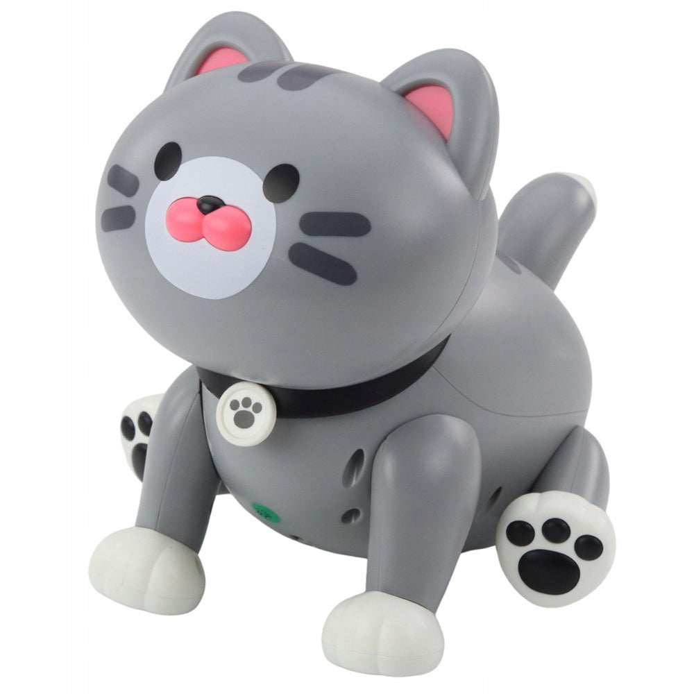 For programming and coding LEAN Toys 26874 Lean Toys Brand LEAN Toys