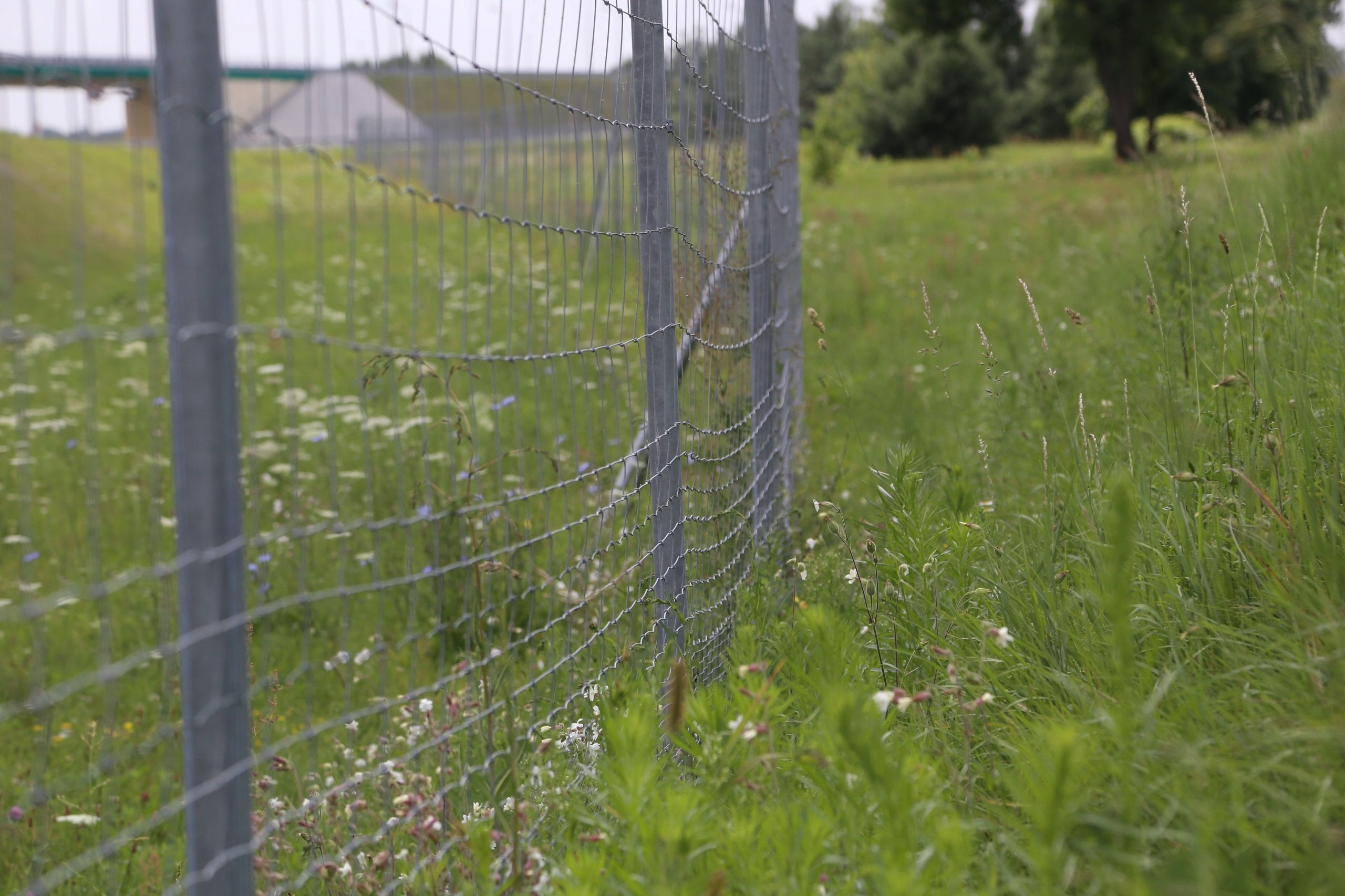 Forest Fence Net L 120/9/30 - 25 mb Height 120 m