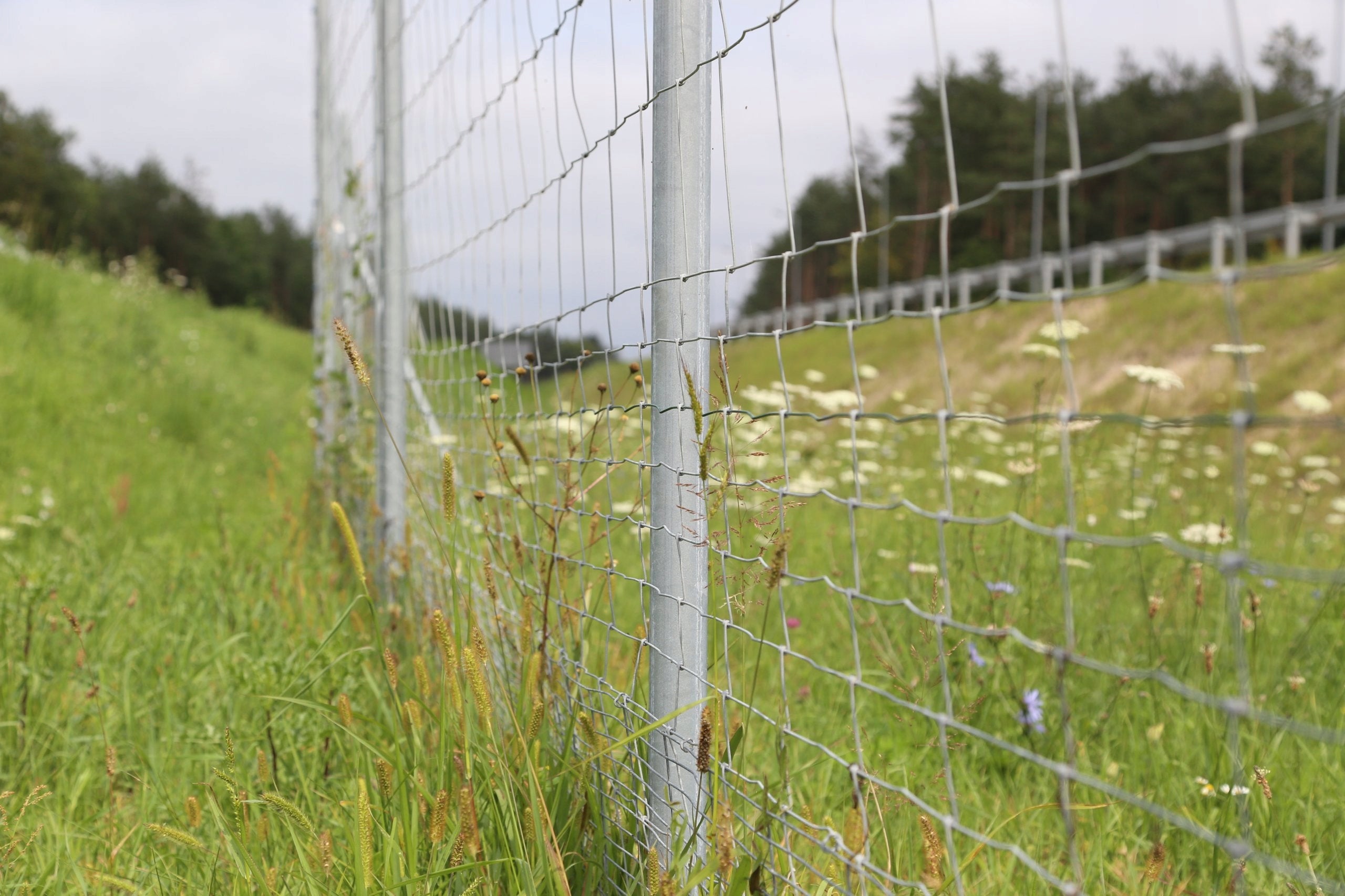 Forest Fence Net L 120/9/30 - 25 mb Length 25 m