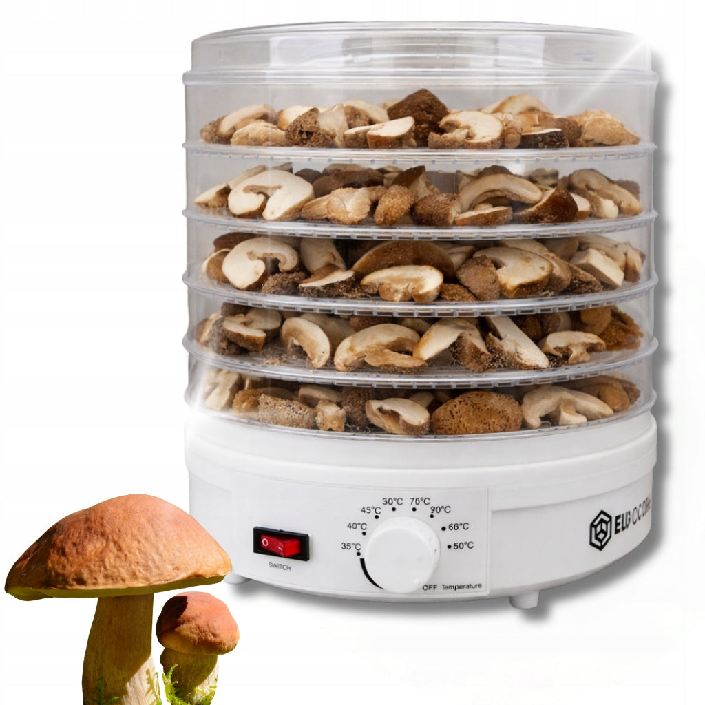 Fruit Mushroom Dryer Vegetable 5 Sit 500W Temperature Control