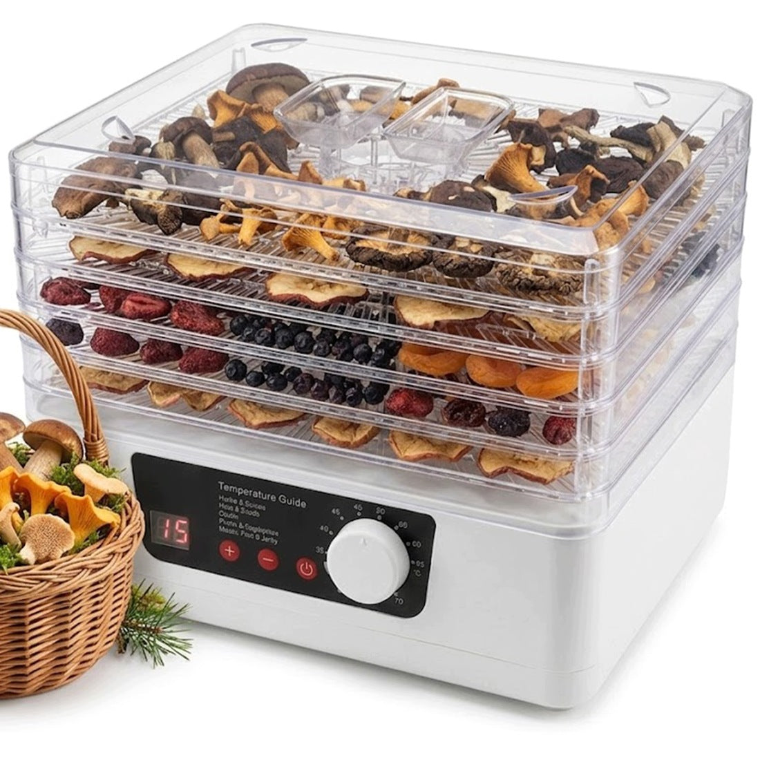 Fruit mushroom dryer 350W large Timer +Termoobieg 48H +6 sit 35-70C°