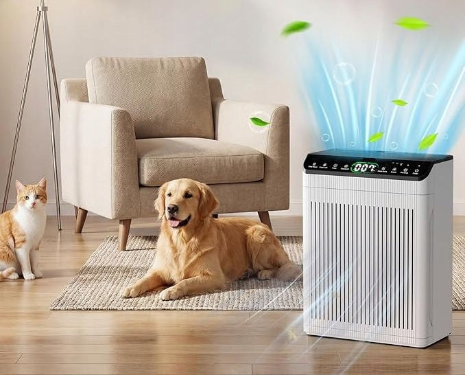 G382 EVALIT AIR PURIFIER HEPA FOR LARGE ROOMS PM2.5 QUIET Manufacturer code ET066