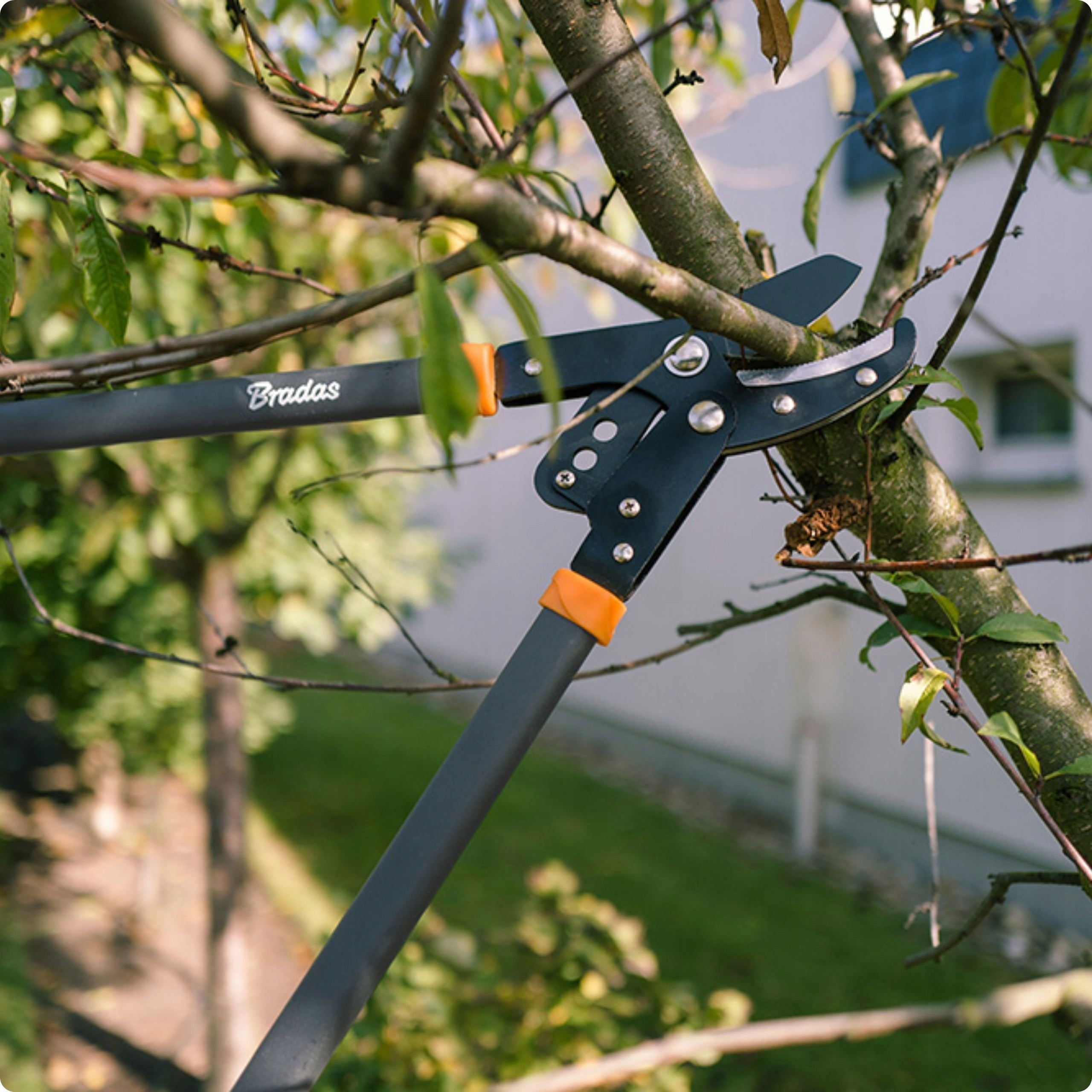 GARDEN BRANCH PRUNER SHEARS BRADAS ANVIL GEAR DIAMETER UP TO 50MM Brand Bradas