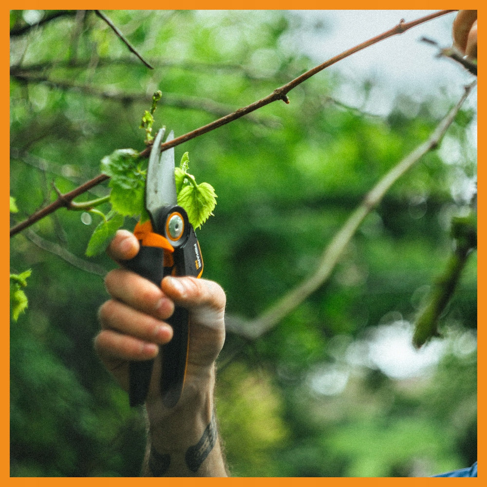 GARDEN PRUNING SHEAR MANUAL FOR SHRUB FLOWER BRANCHES FISKARS L P961 Product weight with unit packaging 0.3 kg