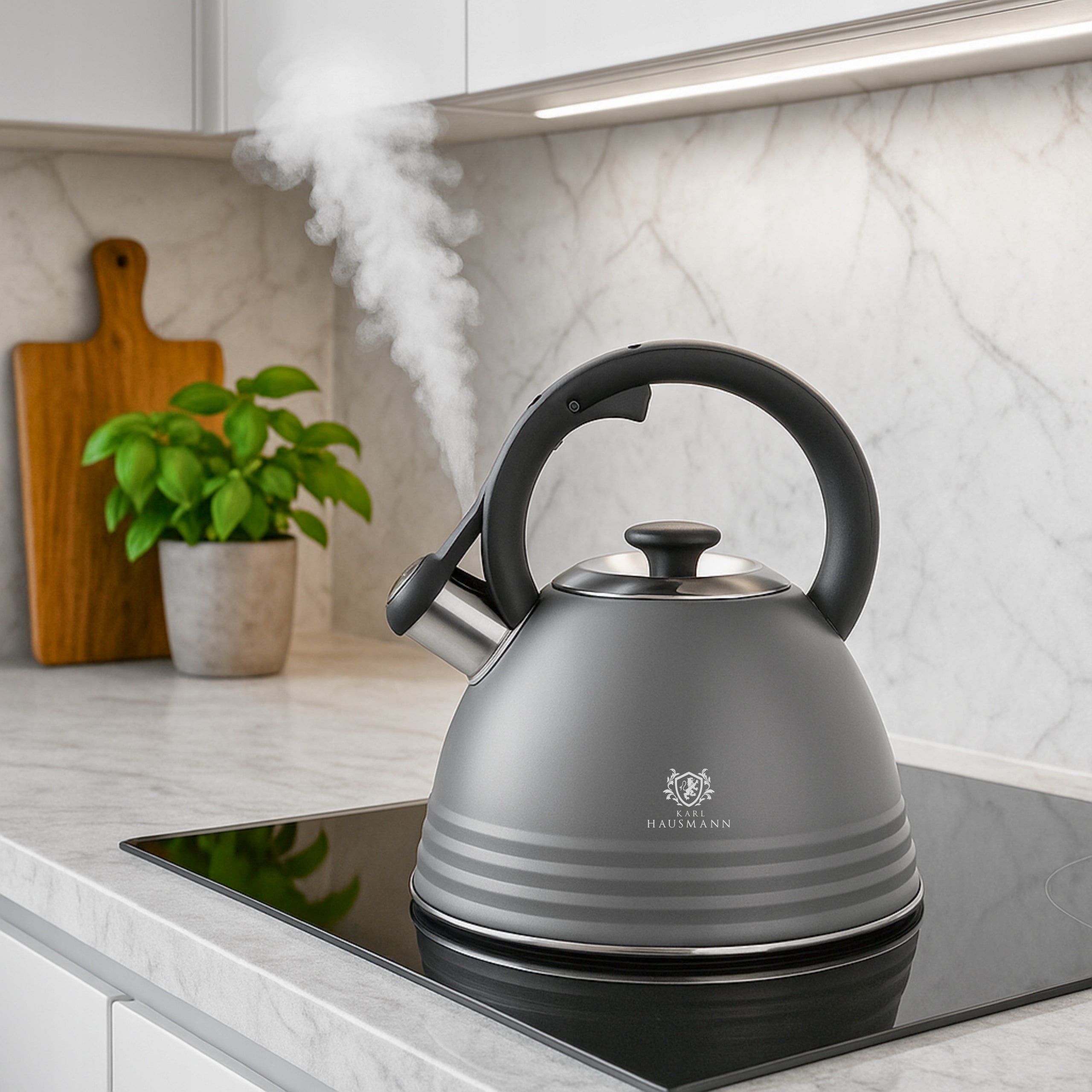 GAS KETTLE 3L KETTLE WITH WHISTLE COVER STEEL INDUCTION GREY LARGE EAN (GTIN) 5905155034205