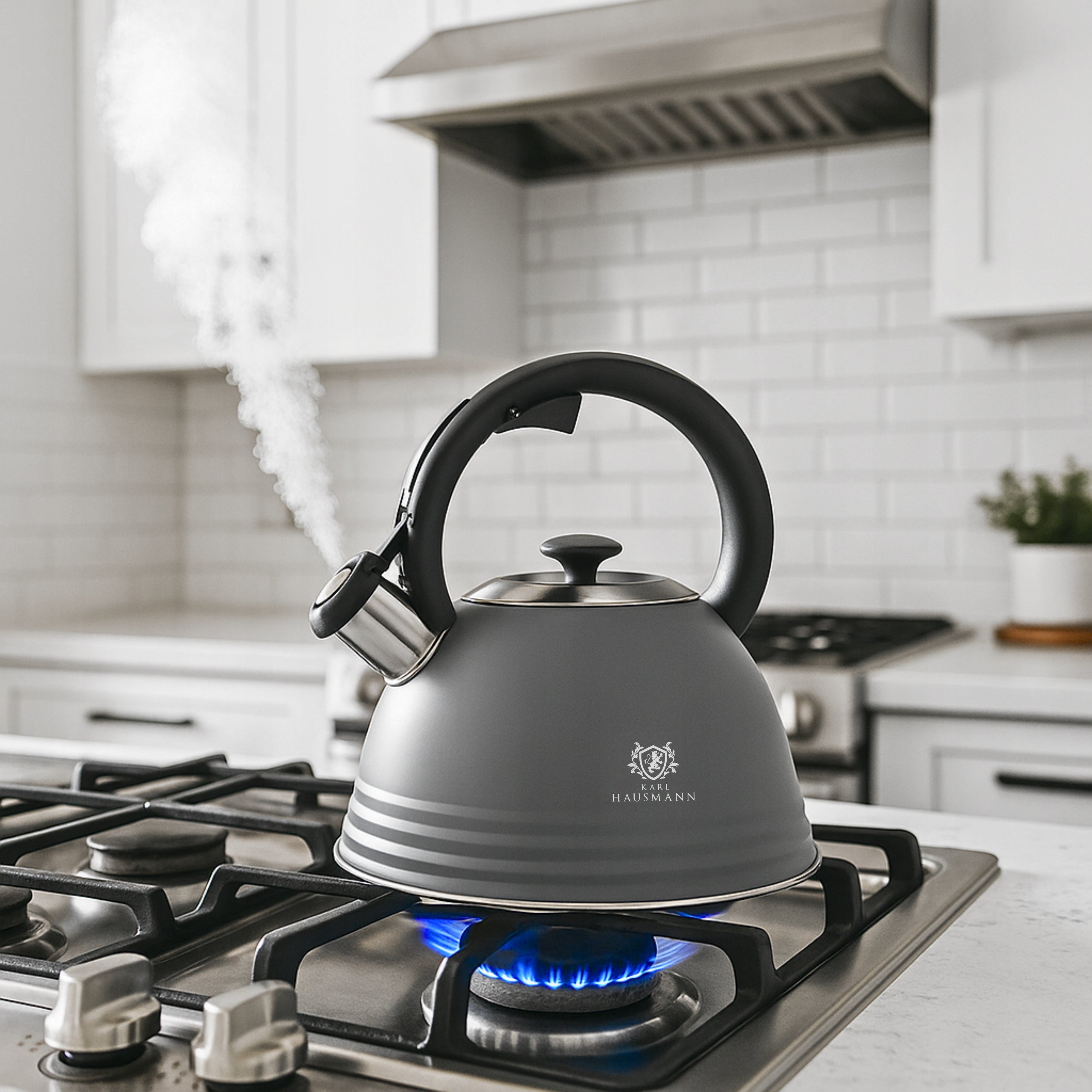GAS KETTLE 3L KETTLE WITH WHISTLE COVER STEEL INDUCTION GREY LARGE Manufacturer code 5905155034205