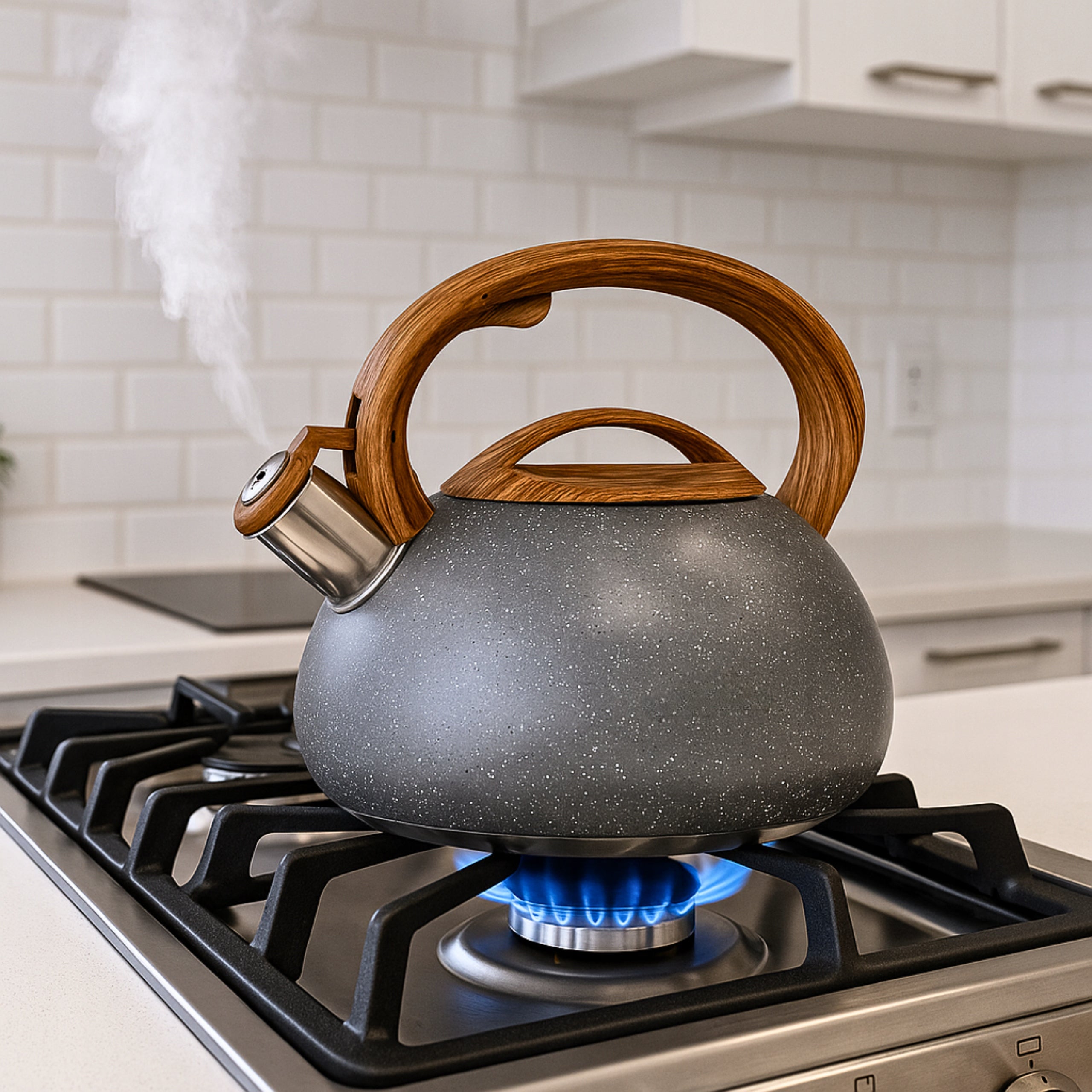 GAS KETTLE GREY WITH WHISTLE LID 3L STEEL INDUCTION SILVER Manufacturer code 5907564504997