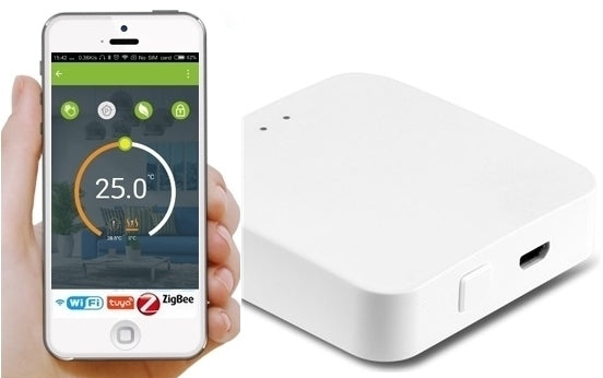 GATE CONTROL PANEL ZigBee WiFi MODULE TUYA SMART