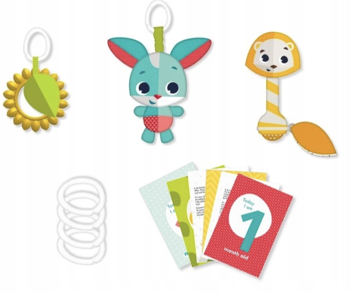 GIFT SET FOR A CHILD WITH CARDS FUN IN THE MEADOW EAN (GTIN) 7290108862881