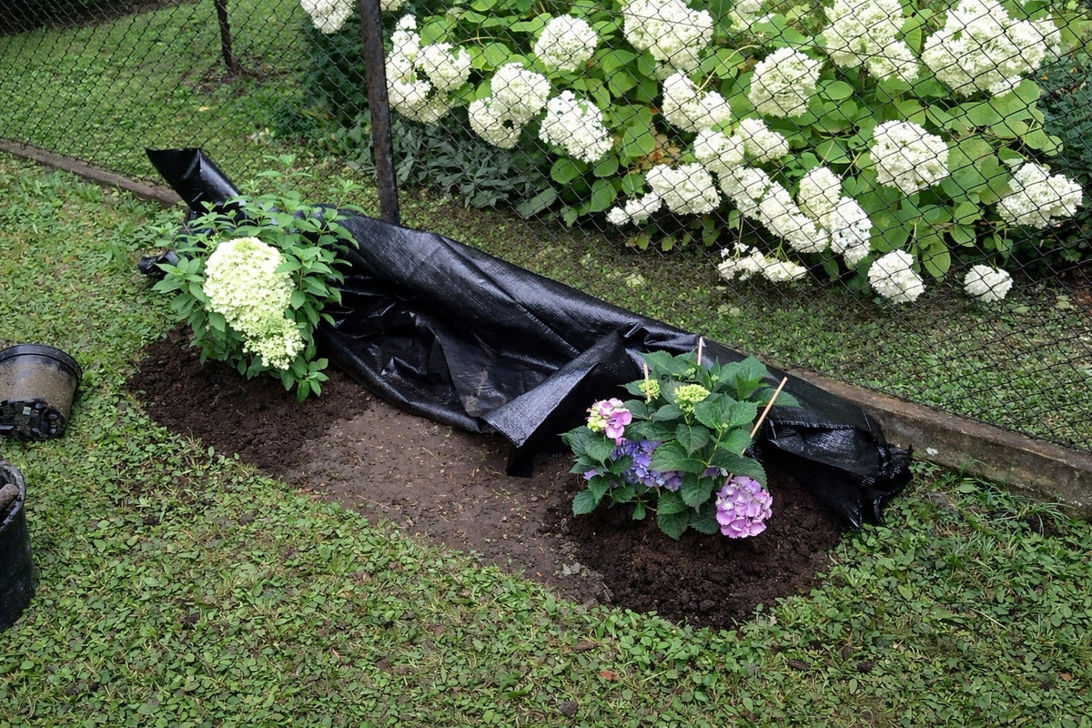 Garden edging lawn plastic 20m x 4,5 cm black +60 ANCHORS Manufacturer Trusk