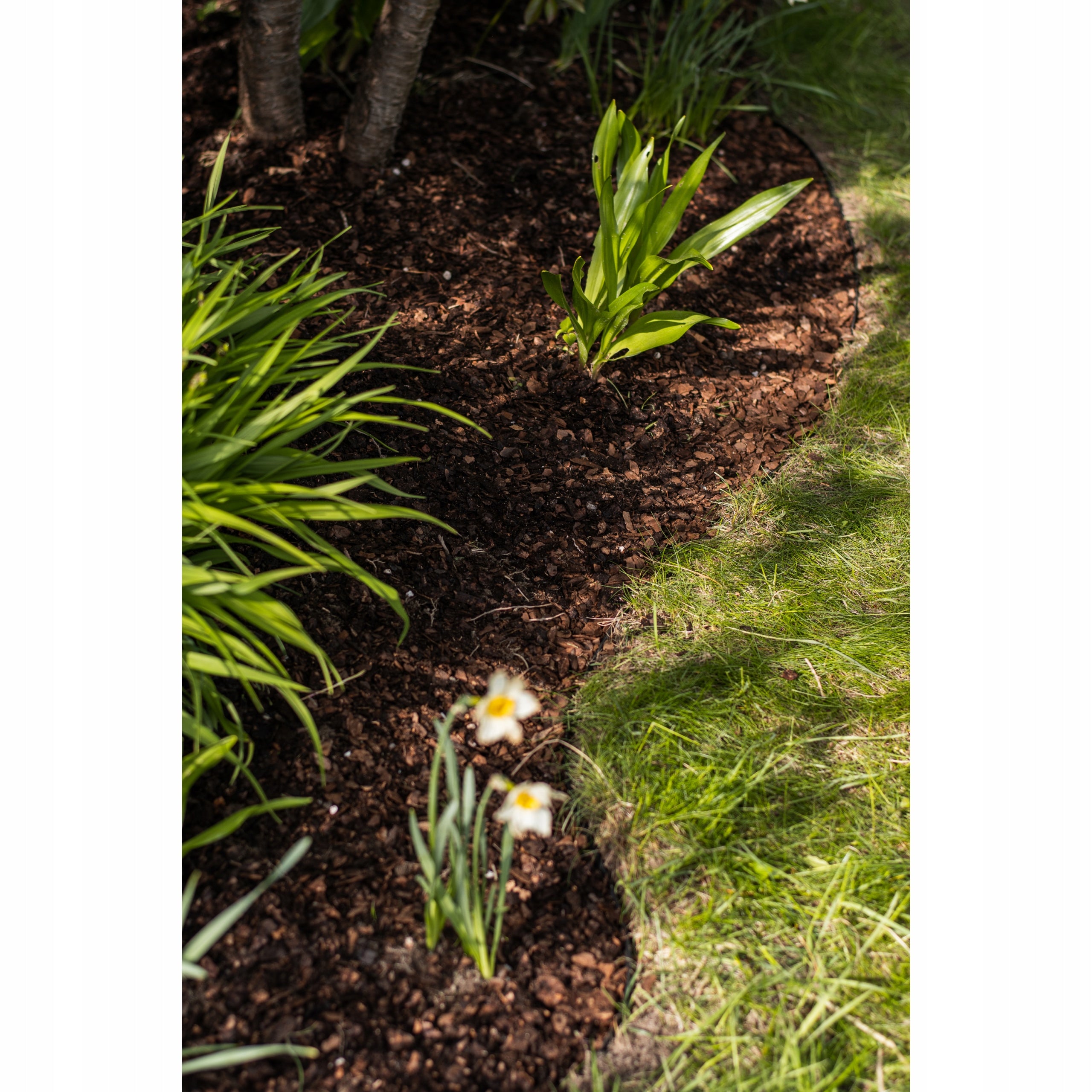 Garden edging lawn plastic set 20m black 6cm Product height 6 cm